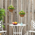 Set of Two Hanging Lisianthus Flower Pots - Orange/Green Bargain Clearance Centre