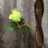 Set of Two Faux Rose Trees - Green Bargain Clearance Centre