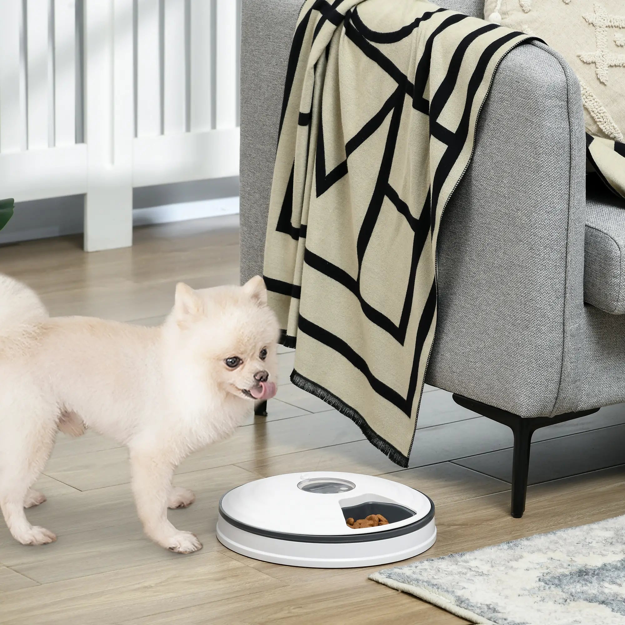 Automatic Pet Dog Cat Feeder w/ Digital Timer Six-Meal Food Dispenser