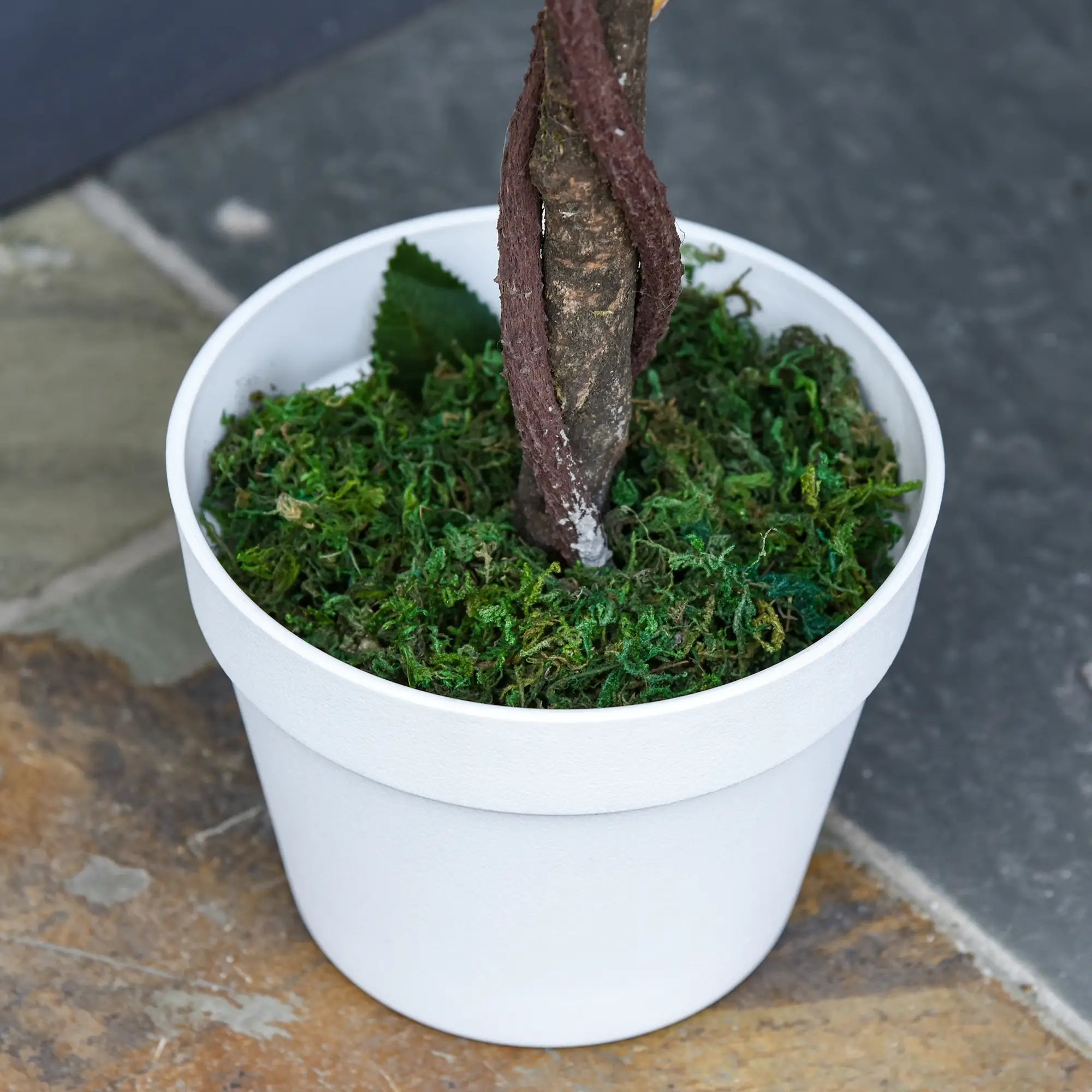 Artificial Plants White Rose Floral in Pot, Fake Plants for Home Indoor Outdoor Decor, 90cm Bargain Clearance Centre