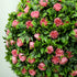 Set of 2 Decorative Artificial Plants, Ball Topiary Tree with Rose Flower in Pot, Fake Plants for Home Indoor Outdoor Decor, 60cm, Pink Bargain Clearance Centre