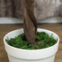 Set of Two Faux Rose Trees - Green Bargain Clearance Centre