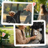 Pet Stroller for Small Miniature Dogs Cats Foldable Travel Carriage with Wheels Zipper Entry Cup Holder Storage Basket Black
