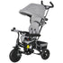 6 in 1 Kids Trike Push Bike w/ Push Handle, Canopy, 5-point Safety Belt, Storage, Footrest, Brake, for 1-5 Years, Grey